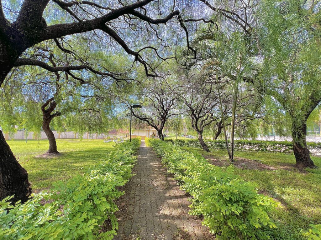 Reserva da Serra